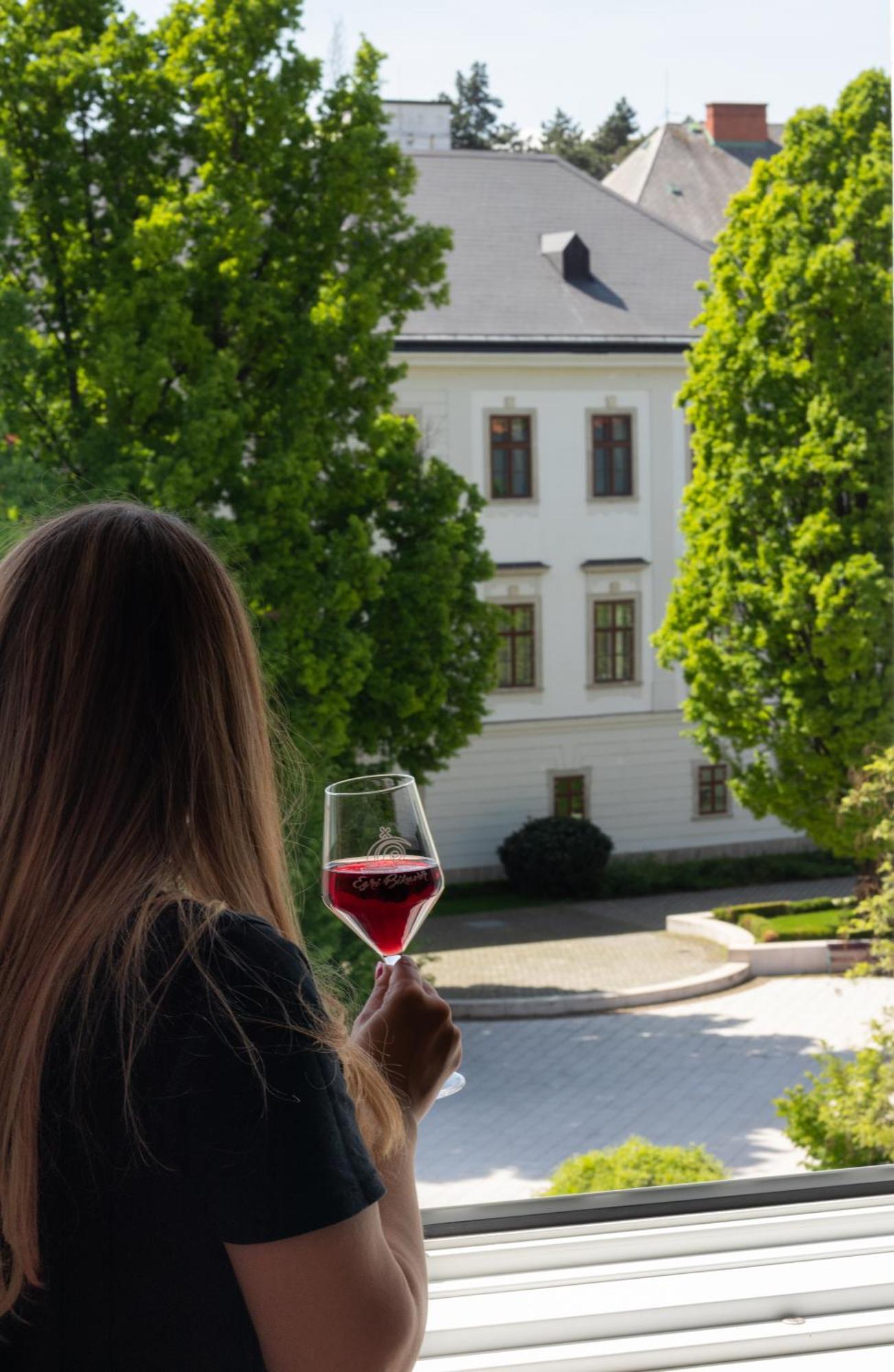 Suzy Apartman Erlau Exterior foto